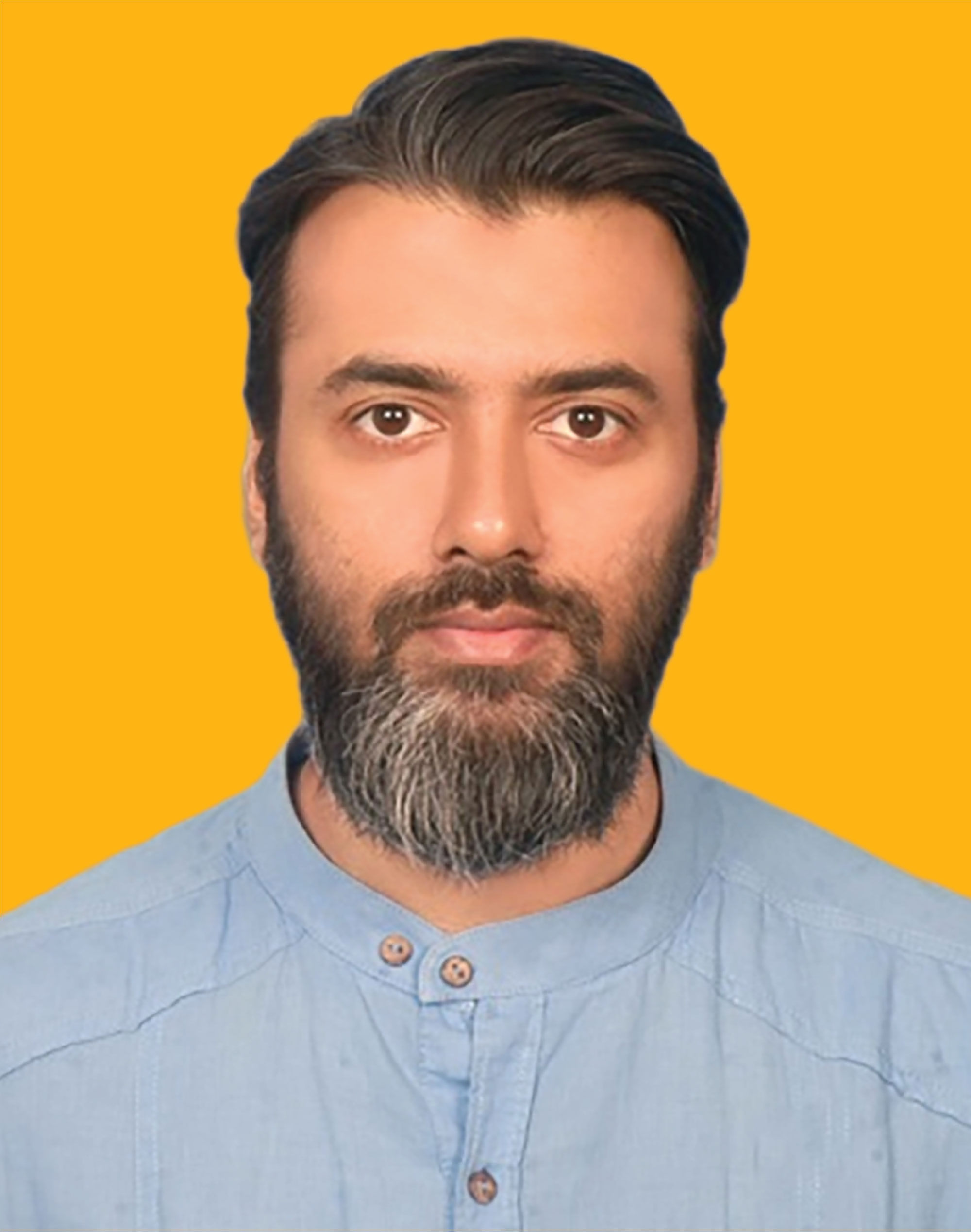 Syed_Tanvir_Ahmed_bitBirds
